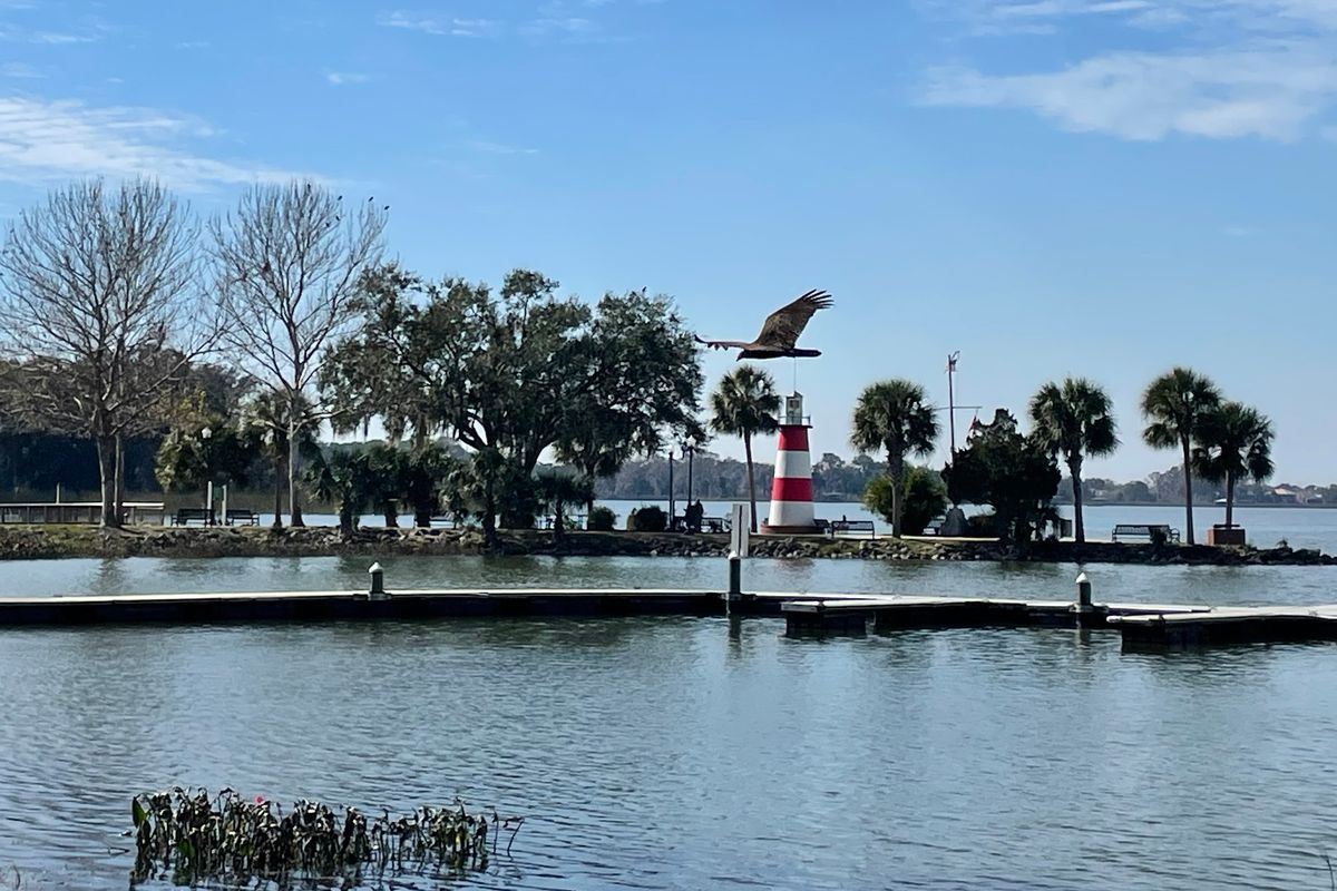 Red-shouldered hawk flying over the Mount Dora lighthouse at Grantham Point on Lake Dora