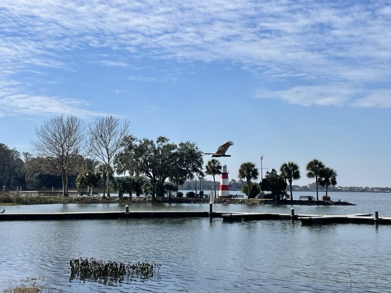 Selling Your Home in Mount Dora
